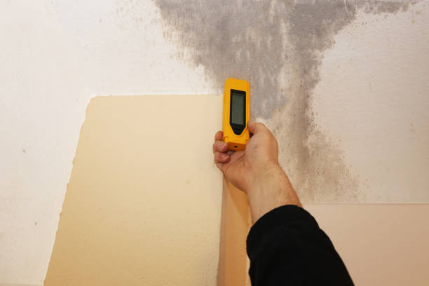 Best Industrial Mold Remediation  in Newburgh, IN