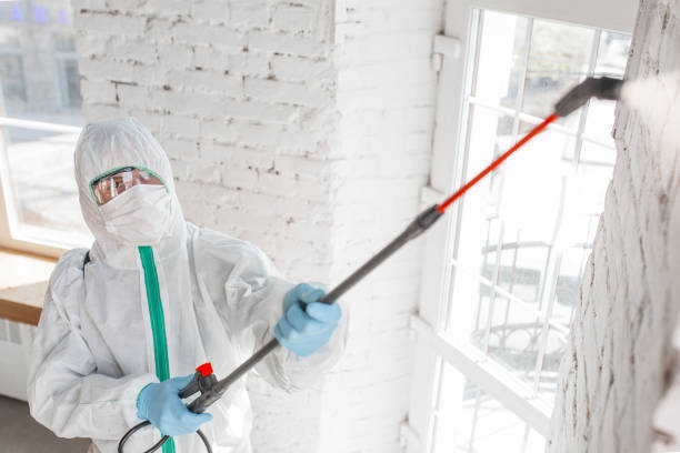 Best Post-Construction Mold Inspection  in Newburgh, IN