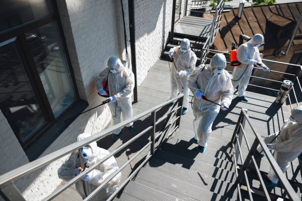 Best Post-Remediation Verification Testing  in Newburgh, IN
