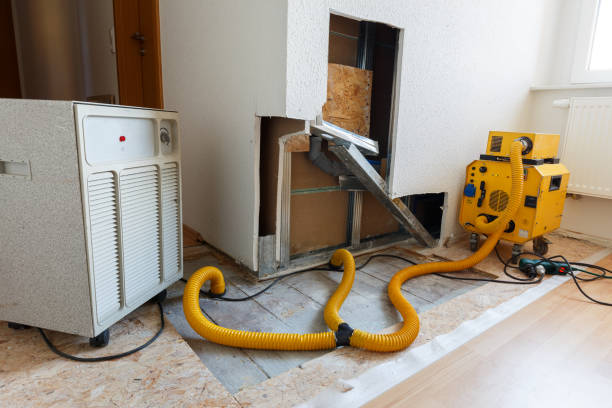 Professional Mold Removal in Newburgh, IN