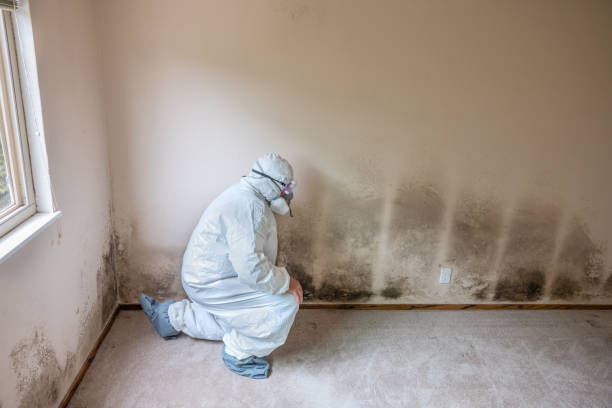 Best Emergency Mold Remediation  in Newburgh, IN